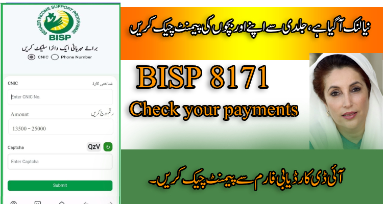 Check BISP Payment Status: Best Complete Guide 2025